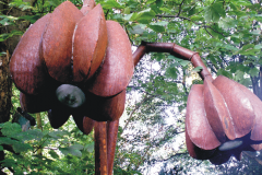 RVA_object_home